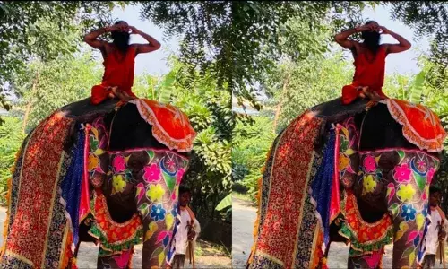 हाथी पर योगा करते करते नीचे गिरे बाबा रामदेव देखिए विडिओ हाथी पर योगा करते करते नीचे गिरे बाबा रामदेव देखिए विडिओ