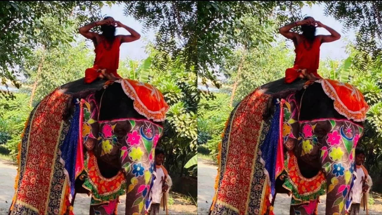 हाथी पर योगा करते करते नीचे गिरे बाबा रामदेव देखिए विडिओ