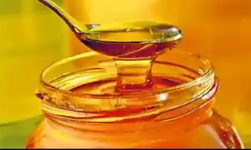 शहद का इस्तेमाल करते हैं तो हो जाओ अलर्ट! 77% में मिलावट चौंकाने वाला खुलासा शहद का इस्तेमाल करते हैं तो हो जाओ अलर्ट! 77% में मिलावट चौंकाने वाला खुलासा