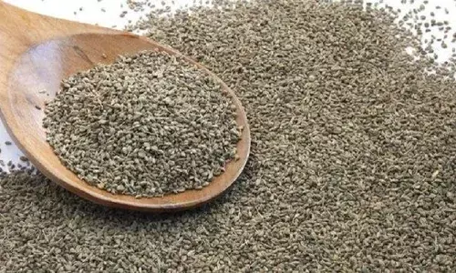 वजन घटाना है तो रोजाना ऐसे करें अजवाइन का सेवन वजन घटाना है तो रोजाना ऐसे करें अजवाइन का सेवन