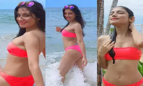 महिला को उसके कपड़ों से जज मत कीजिए! बिकनी में डोनल का धमाल महिला को उसके कपड़ों से जज मत कीजिए! बिकनी में डोनल का धमाल