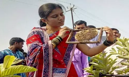 Maharashtra:नौकरी छोड़ पति-पत्नी ने शुरू की खेती,कमाई इतनी..