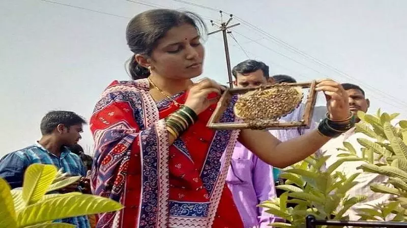 Maharashtra:नौकरी छोड़ पति-पत्नी ने शुरू की खेती,कमाई इतनी..