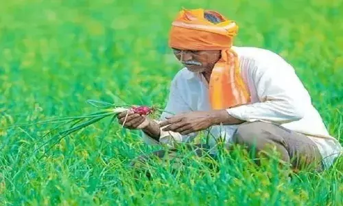 महाराष्‍ट्र के किसानों से वापस ले ली गई 1 करोड़ की राशि,वजह ये है