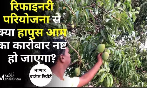#kokan​:रिफाइनरी परियोजना से क्या नष्ट हो जाएगा फलों का राजा हापुस आम का कारोबार?