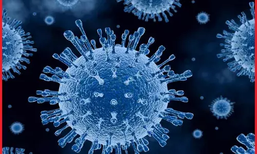 गुजरात: बिना किसी लक्षण के ओमिक्रॉन से संक्रमित मिली 27 वर्षीय महिला, राज्य में कुल 14 मामले दर्ज गुजरात: बिना किसी लक्षण के ओमिक्रॉन से संक्रमित मिली 27 वर्षीय महिला, राज्य में कुल 14 मामले दर्ज