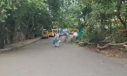 कल्याण में अचानक पेड़ गिरने से मां-बेटा आए चपेट में अस्पताल में भर्ती देखे Max महाराष्ट्र की पूरी रिपोर्ट