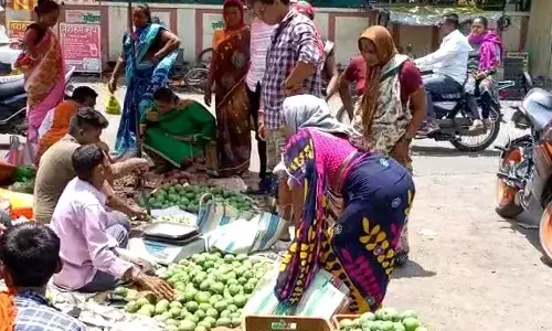 थोड़ा महंगा भले ही हो लेकिन इस समय भी मिल रहा बाजार अचार बनाने वाला आम थोड़ा महंगा भले ही हो लेकिन इस समय भी मिल रहा बाजार अचार बनाने वाला आम
