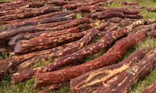 क्या मुंद्रा बंदरगाह बनता जा रहा ड्रग्स स्मगलरों का अड्डा, कई मामलों के बाद कस्टम संदेह के घेरे में