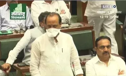 विधानसभा में अजित दादा पवार की जोरदार बॅटिंग, ED की धुलाई!! विधानसभा में अजित दादा पवार की जोरदार बॅटिंग, ED की धुलाई!!