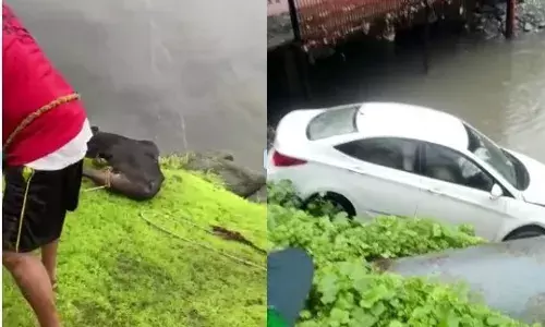 नवी मुंबई घाट में गिरे बछड़े और नाले में गिरी कार का देखे रेस्क्यू ऑपरेशन नवी मुंबई घाट में गिरे बछड़े और नाले में गिरी कार का देखे रेस्क्यू ऑपरेशन