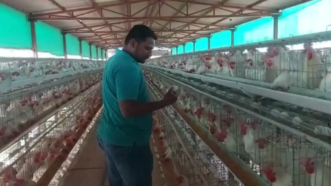 अंडा उत्पादन से चार लाख रुपये प्रतिमाह कमा रहा हैं युवा