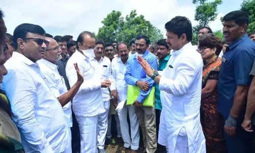 घोंघे से प्रभावित किसानों को दें एनडीआरएफ के मानकों से तीन गुना अधिक - धनंजय मुंडे