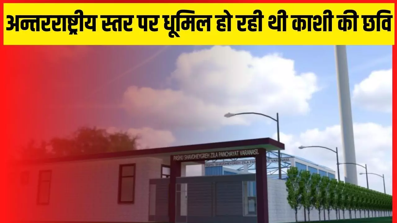 कहीं भी फेंके हुए नहीं दिखेंगे मृत पशु, ना आएगी दुर्गंध, यूपी का पहला इलेक्ट्रिक पशु शवदाह गृह जल्द हो जाएगा तैयार