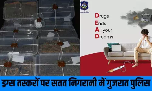 गिर सोमनाथ : समुद्र किनारे मिले चरस के 16 पैकेट, राजकोट में 4 ड्रग्स पैडलर्स गिरफ्तार गिर सोमनाथ : समुद्र किनारे मिले चरस के 16 पैकेट, राजकोट में 4 ड्रग्स पैडलर्स गिरफ्तार