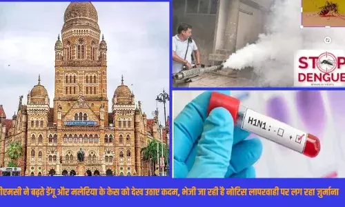 मुंबई-महाराष्ट्र में कोरोना कमजोर, डेंगू का कहर: लगातार मामले सामने आ रहे है मुंबई-महाराष्ट्र में कोरोना कमजोर, डेंगू का कहर: लगातार मामले सामने आ रहे है