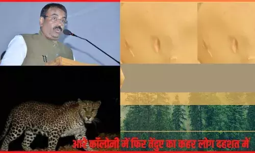 आरे कॉलोनी में 4 साल के बच्चे के ऊपर तेंदुए ने किया हमला, बुरी तरह घायल आरे कॉलोनी में 4 साल के बच्चे के ऊपर तेंदुए ने किया हमला, बुरी तरह घायल