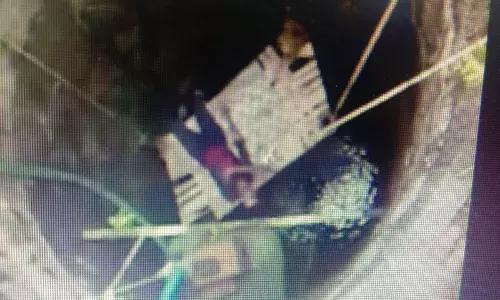 मेंढ़क व चूहे को बचाने के खातिर 3 लोगों ने गंवाई जान