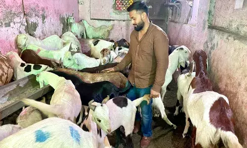 बकरा ईद पर भी कोरोना का साया