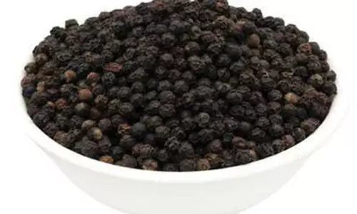 काली मिर्च के जानिए ये कारगर उपाय