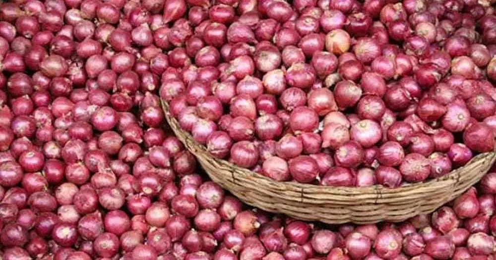 प्याज निर्यात पर महाराष्ट्र सरकार  केंद्र से क्यों हुई नाराज?